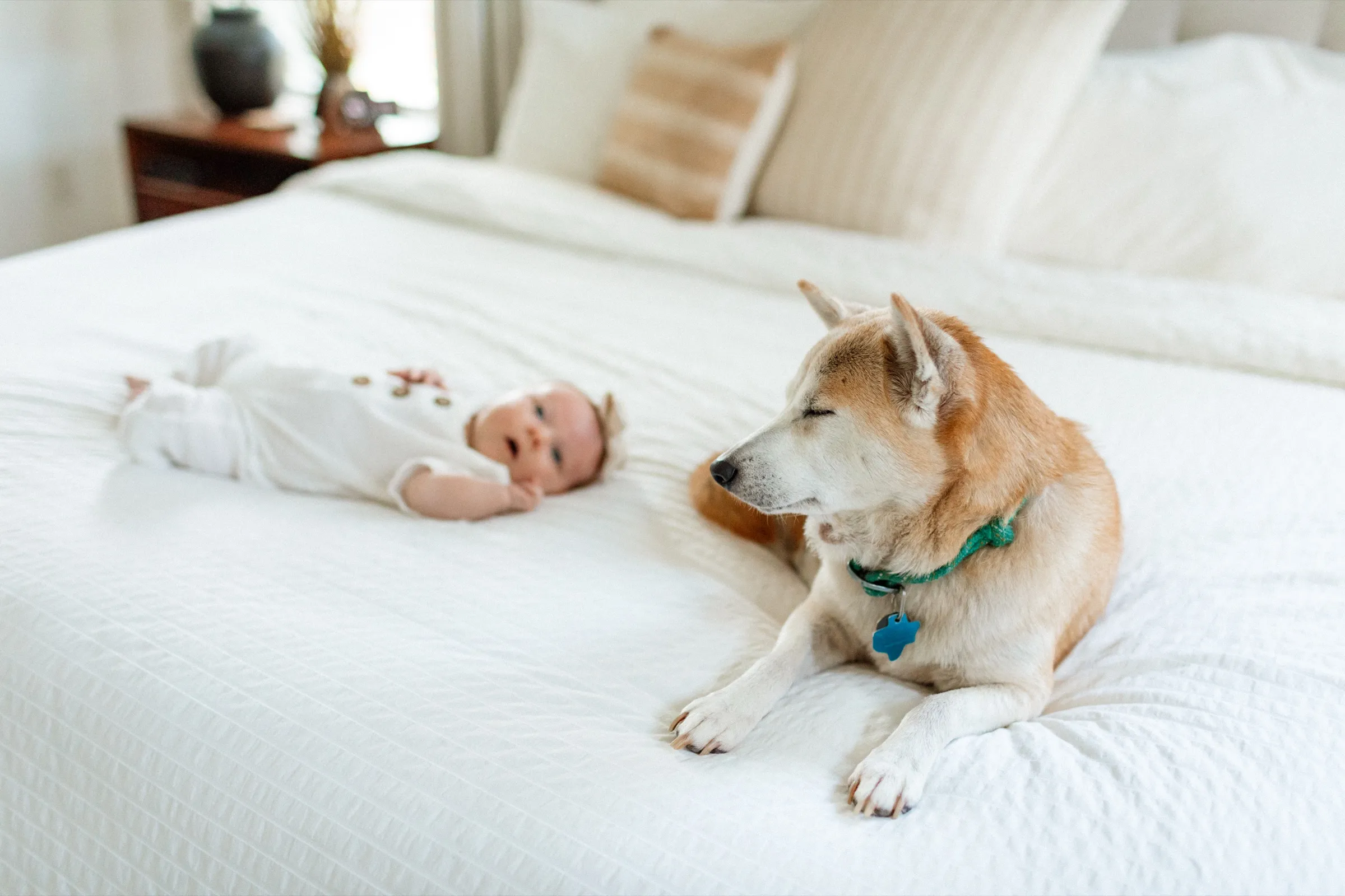 Newborn photography by Sara James (15)